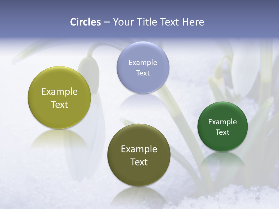 The First Snowdrops Among Thawing Snow PowerPoint Template