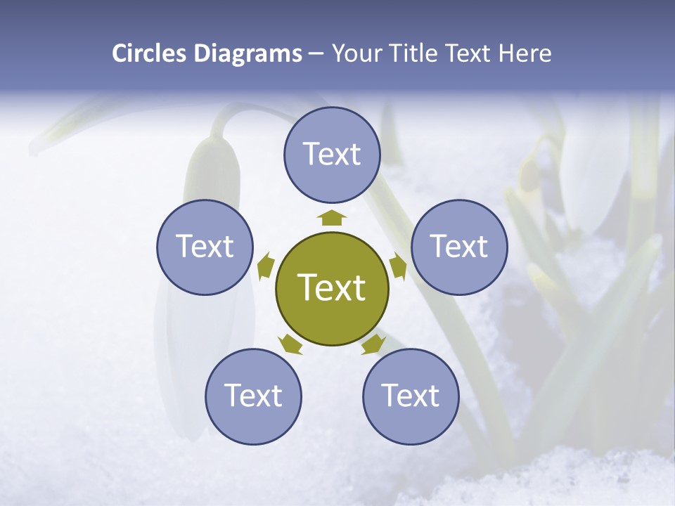 The First Snowdrops Among Thawing Snow PowerPoint Template