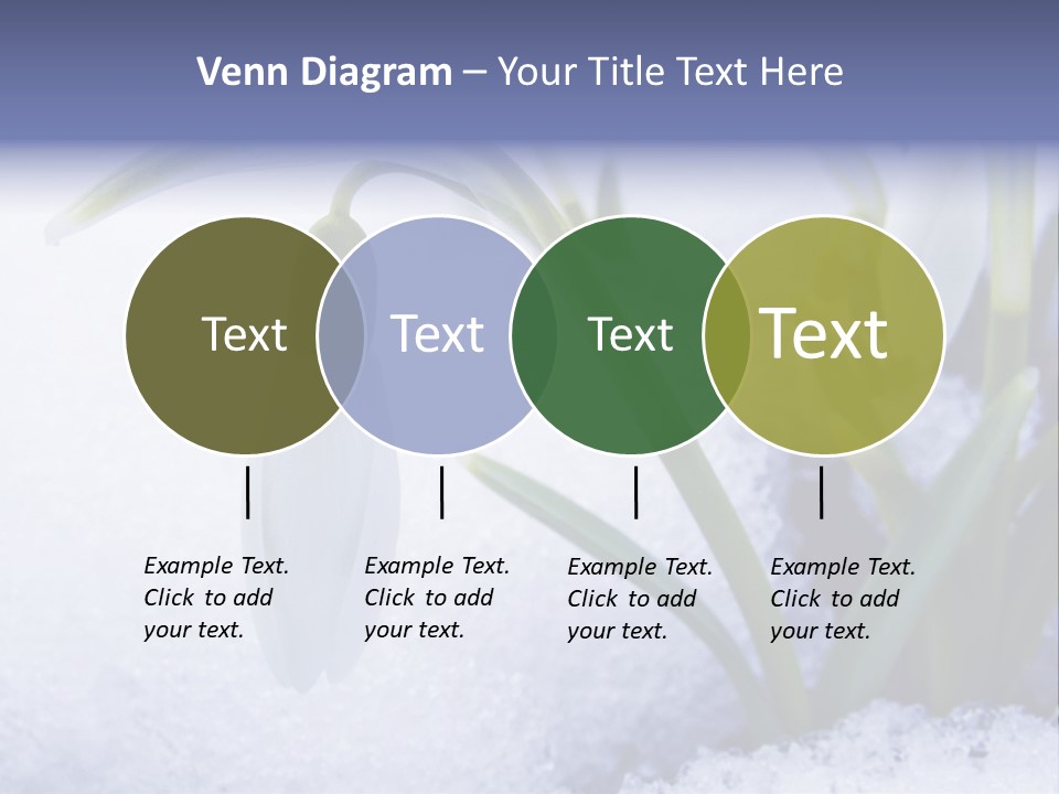 The First Snowdrops Among Thawing Snow PowerPoint Template
