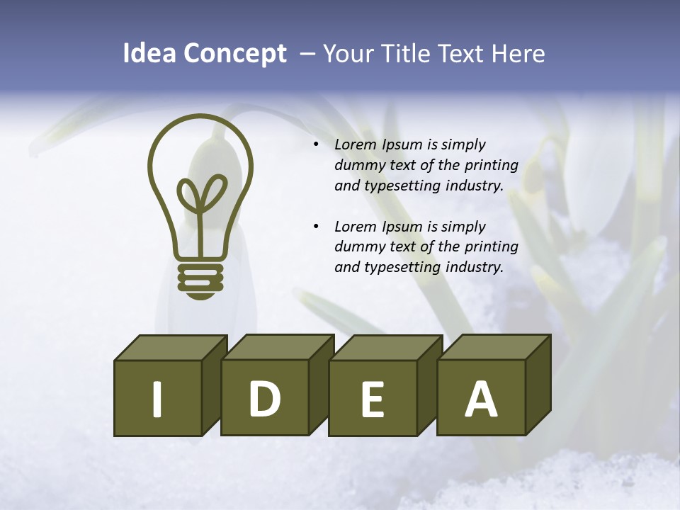 The First Snowdrops Among Thawing Snow PowerPoint Template