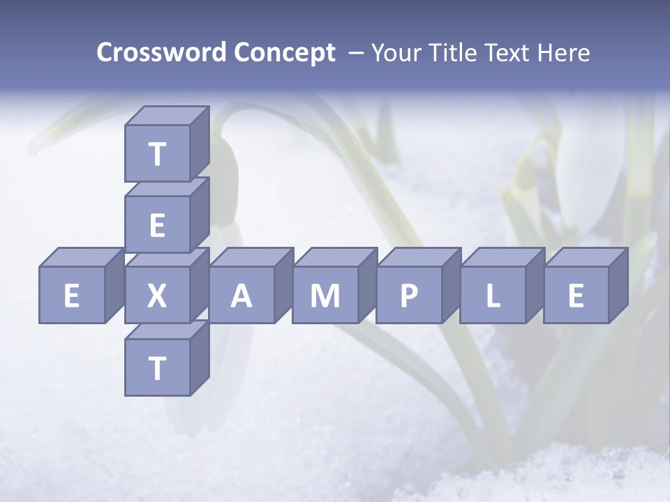 The First Snowdrops Among Thawing Snow PowerPoint Template