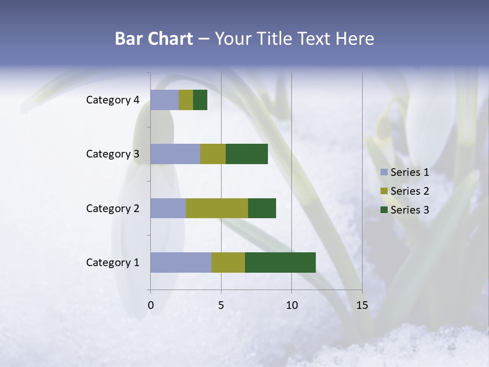 The First Snowdrops Among Thawing Snow PowerPoint Template