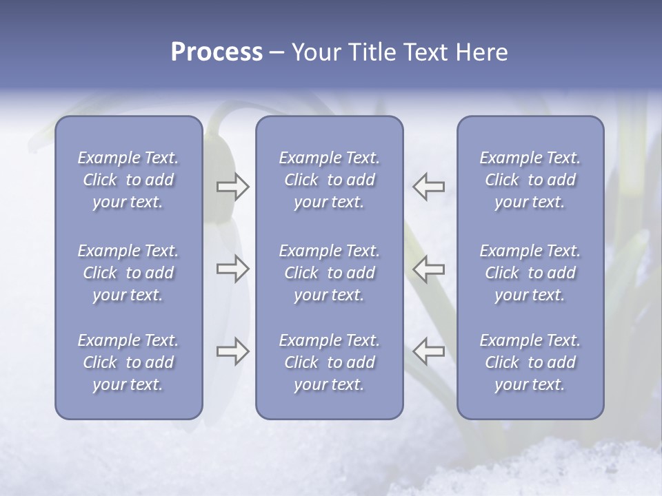 The First Snowdrops Among Thawing Snow PowerPoint Template