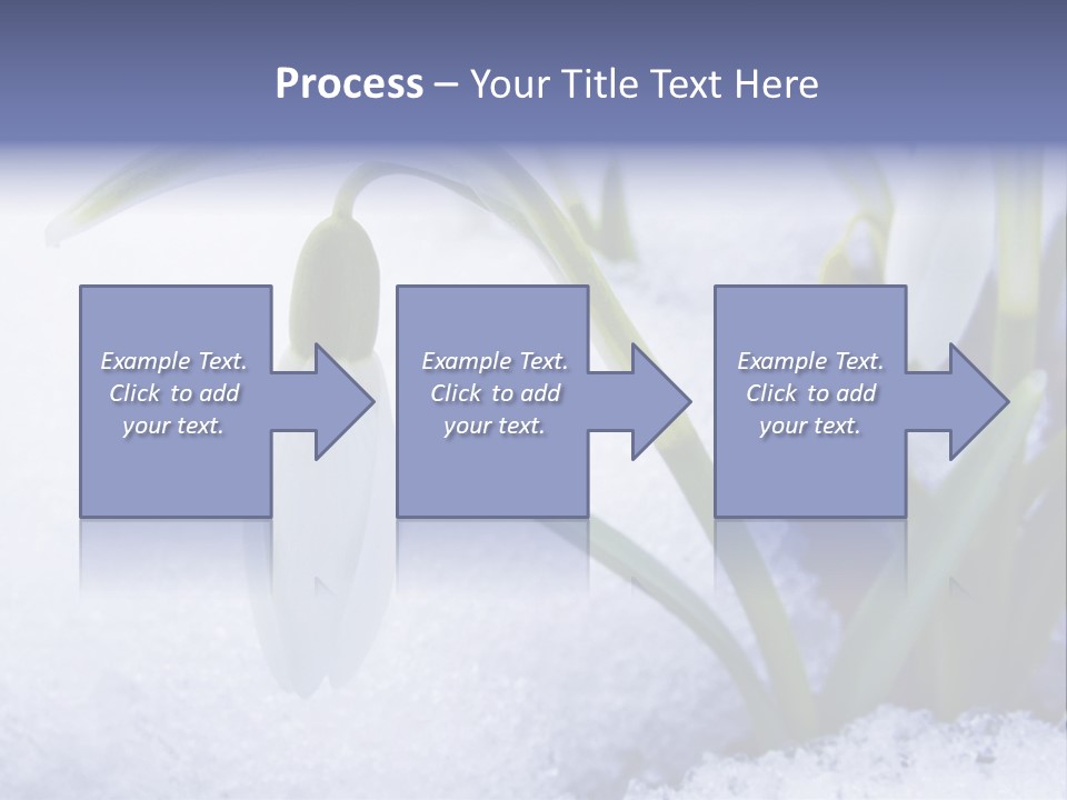 The First Snowdrops Among Thawing Snow PowerPoint Template