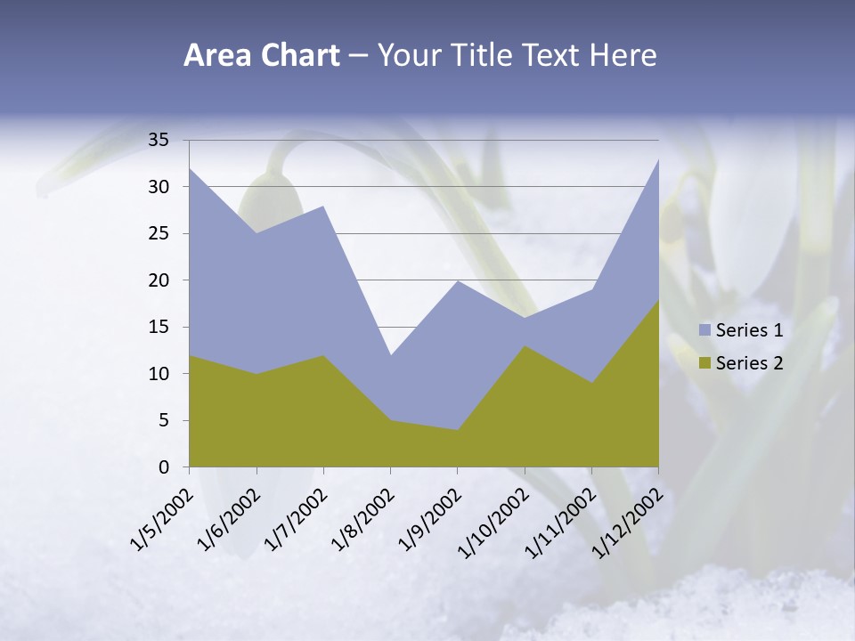 The First Snowdrops Among Thawing Snow PowerPoint Template