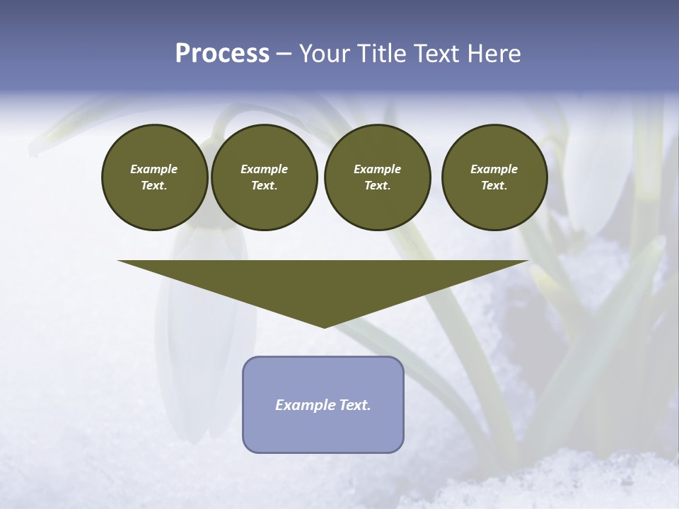 The First Snowdrops Among Thawing Snow PowerPoint Template