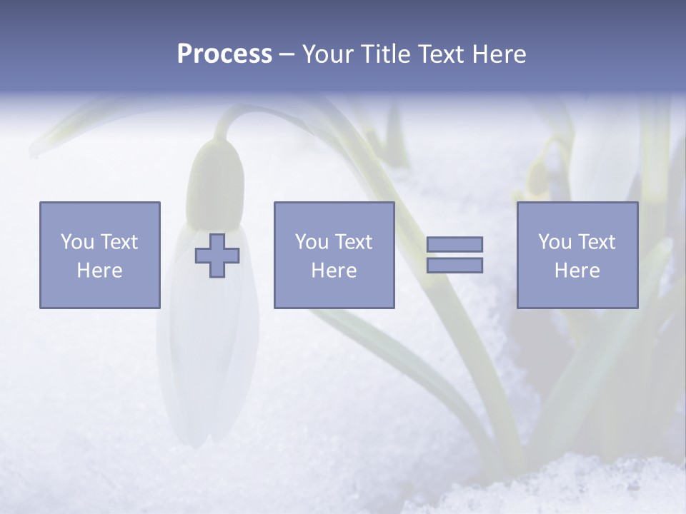 The First Snowdrops Among Thawing Snow PowerPoint Template