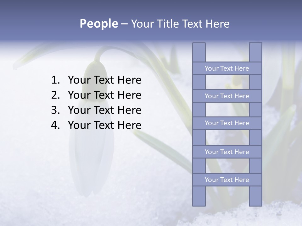 The First Snowdrops Among Thawing Snow PowerPoint Template