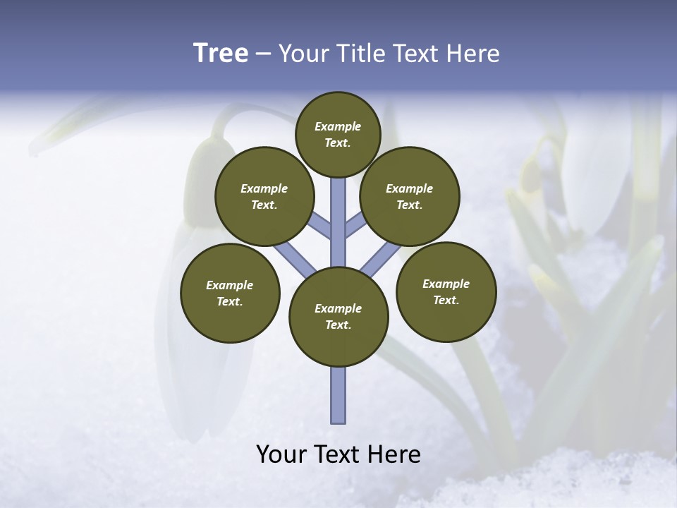 The First Snowdrops Among Thawing Snow PowerPoint Template