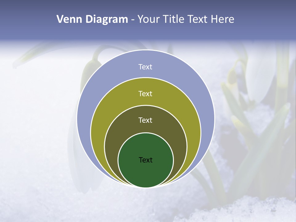 The First Snowdrops Among Thawing Snow PowerPoint Template
