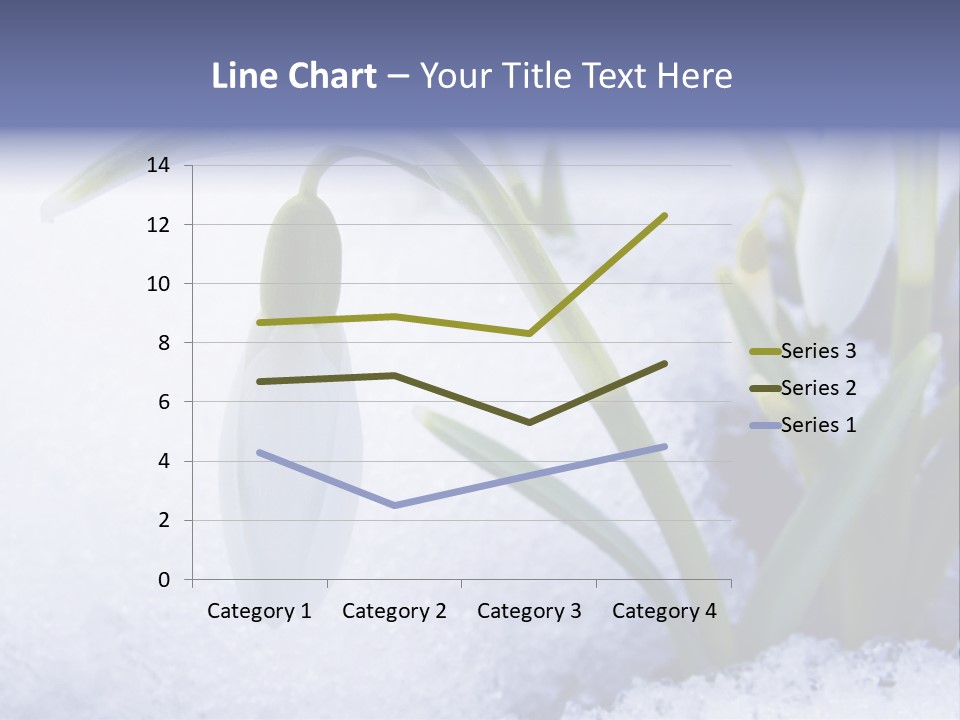 The First Snowdrops Among Thawing Snow PowerPoint Template