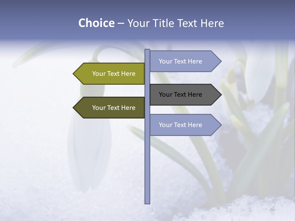 The First Snowdrops Among Thawing Snow PowerPoint Template