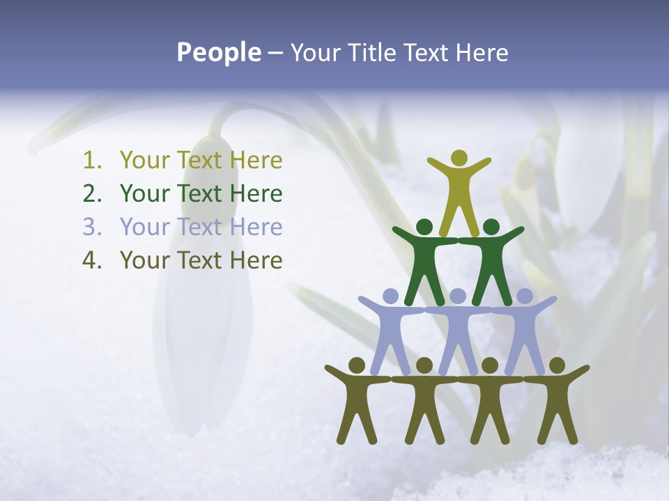 The First Snowdrops Among Thawing Snow PowerPoint Template