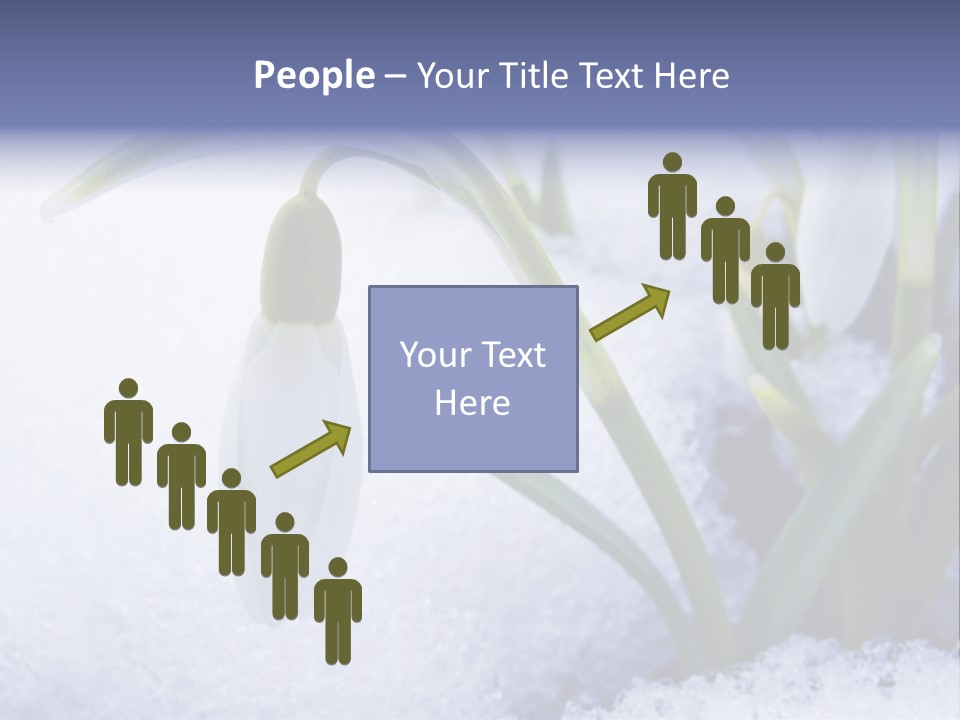 The First Snowdrops Among Thawing Snow PowerPoint Template
