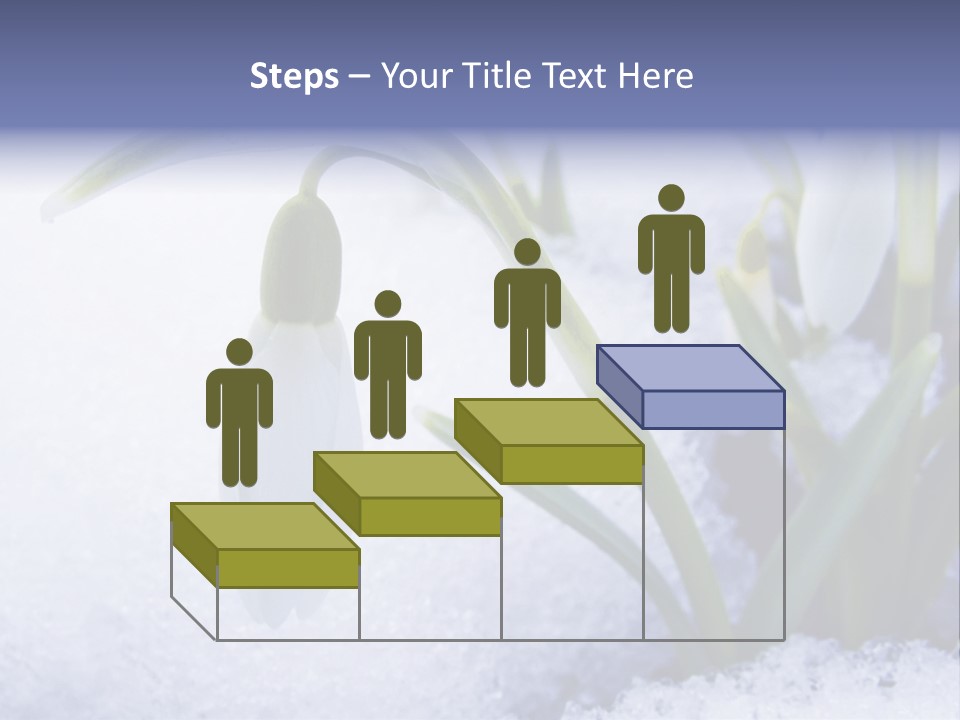 The First Snowdrops Among Thawing Snow PowerPoint Template