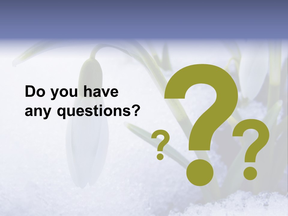 The First Snowdrops Among Thawing Snow PowerPoint Template