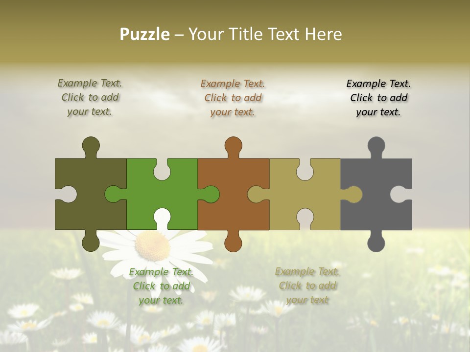 Daisies In A Grass Field At The Sunset PowerPoint Template