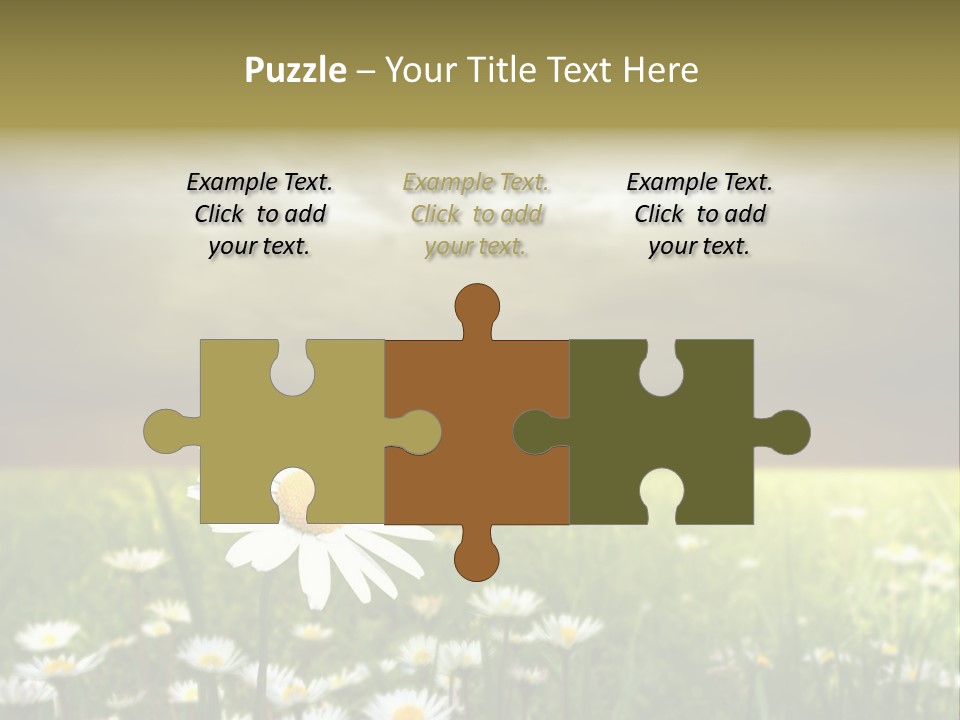 Daisies In A Grass Field At The Sunset PowerPoint Template