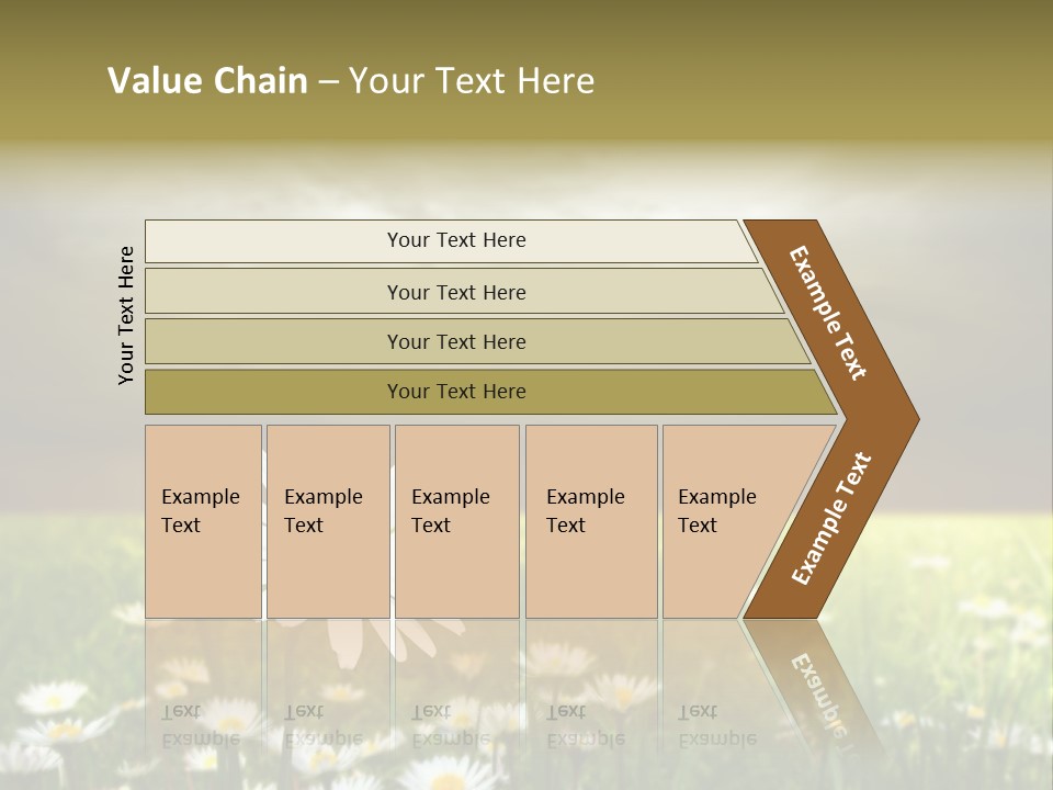 Daisies In A Grass Field At The Sunset PowerPoint Template
