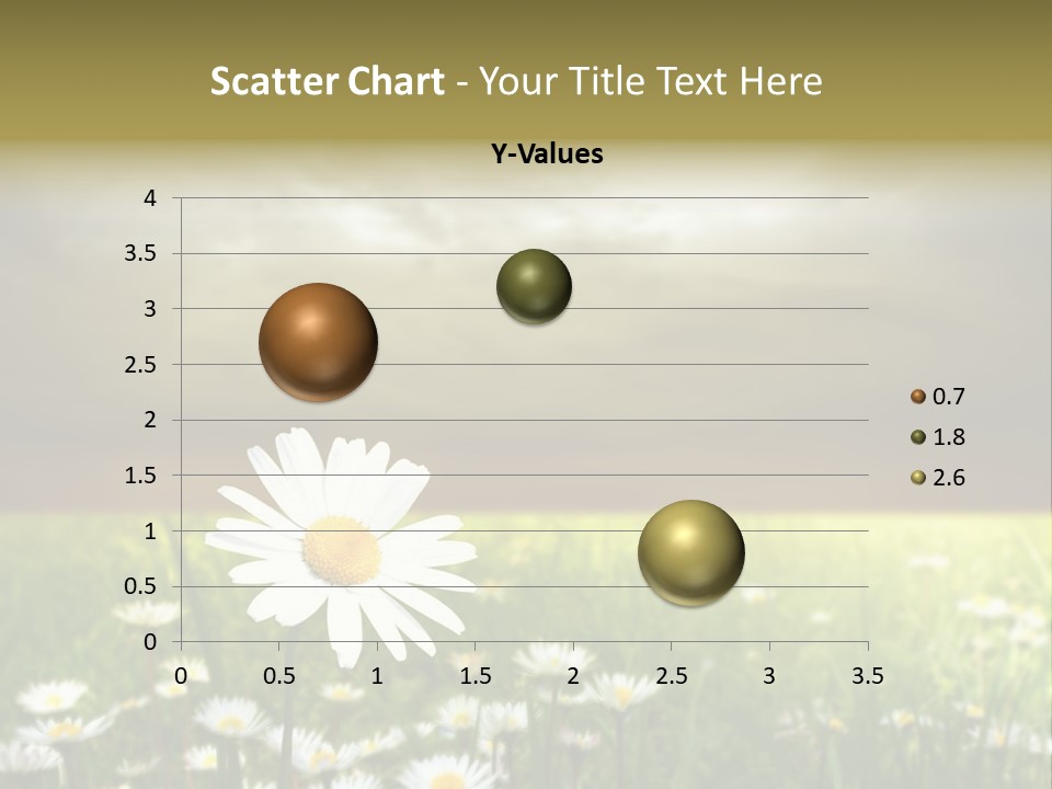 Daisies In A Grass Field At The Sunset PowerPoint Template
