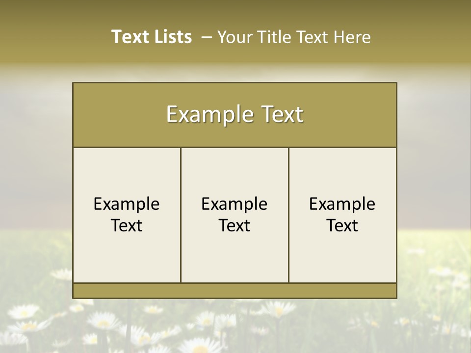 Daisies In A Grass Field At The Sunset PowerPoint Template