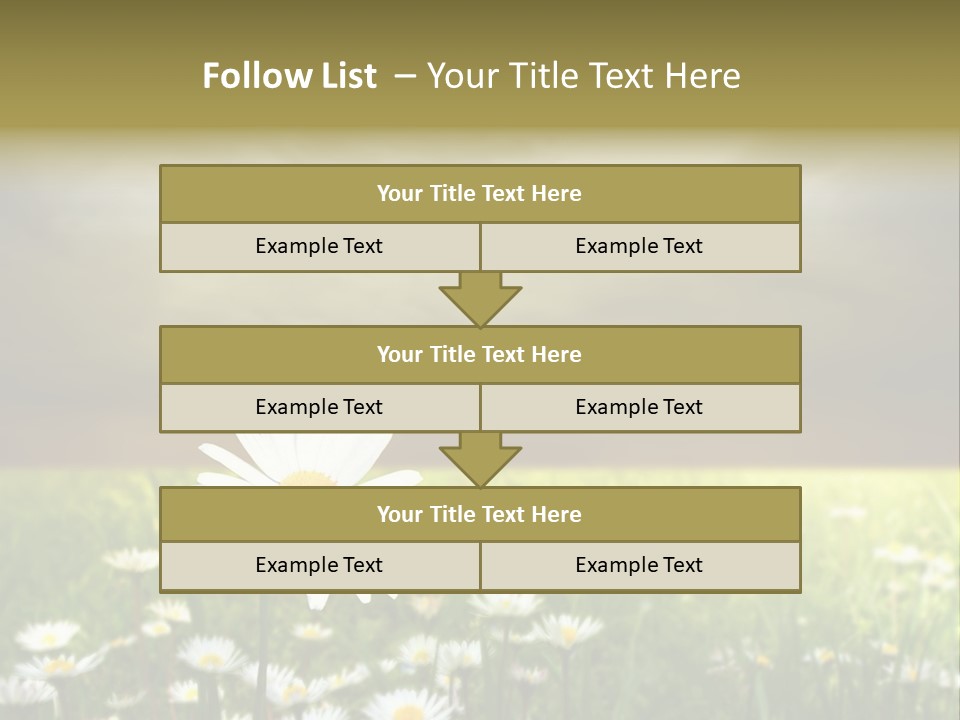 Daisies In A Grass Field At The Sunset PowerPoint Template