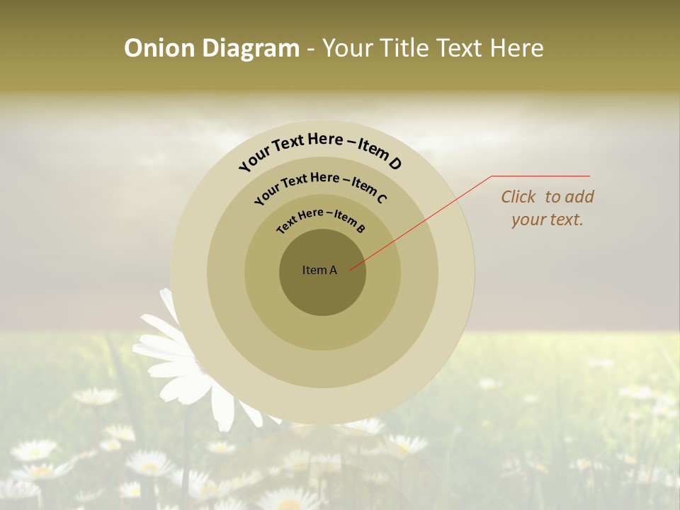 Daisies In A Grass Field At The Sunset PowerPoint Template