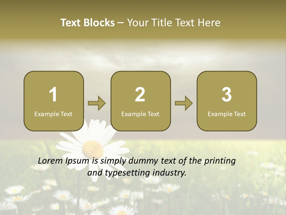 Daisies In A Grass Field At The Sunset PowerPoint Template