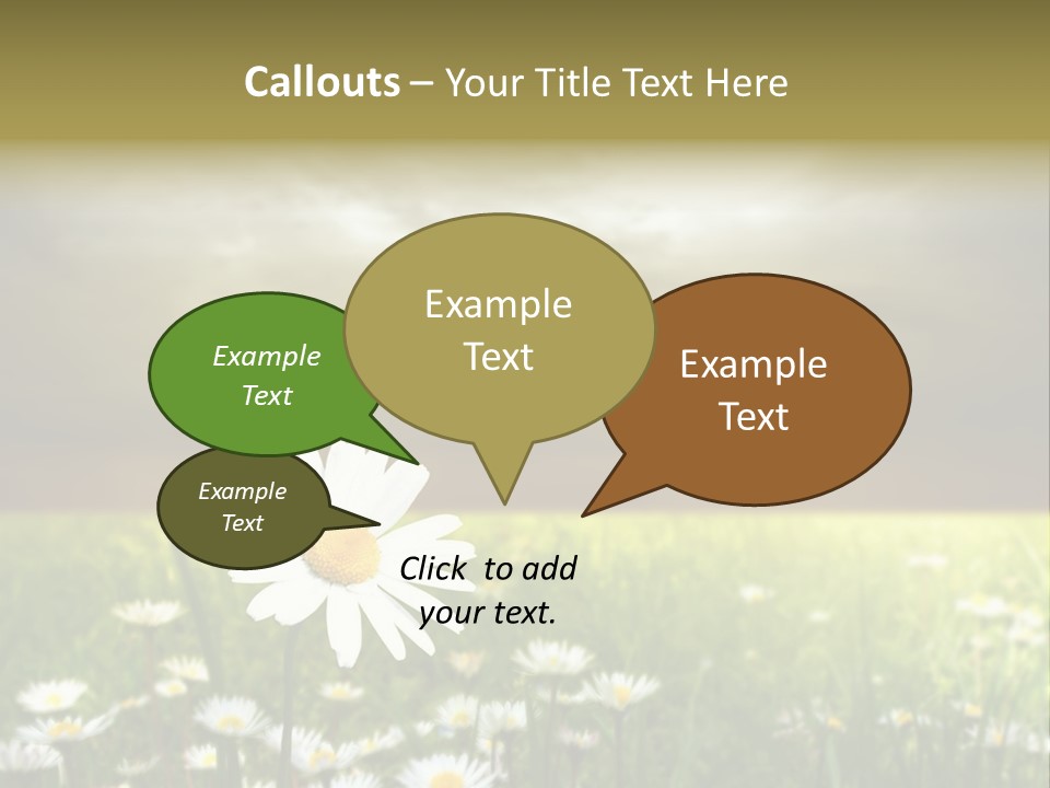 Daisies In A Grass Field At The Sunset PowerPoint Template