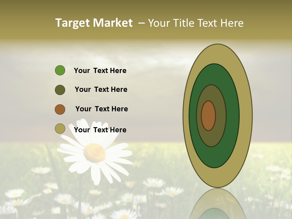 Daisies In A Grass Field At The Sunset PowerPoint Template