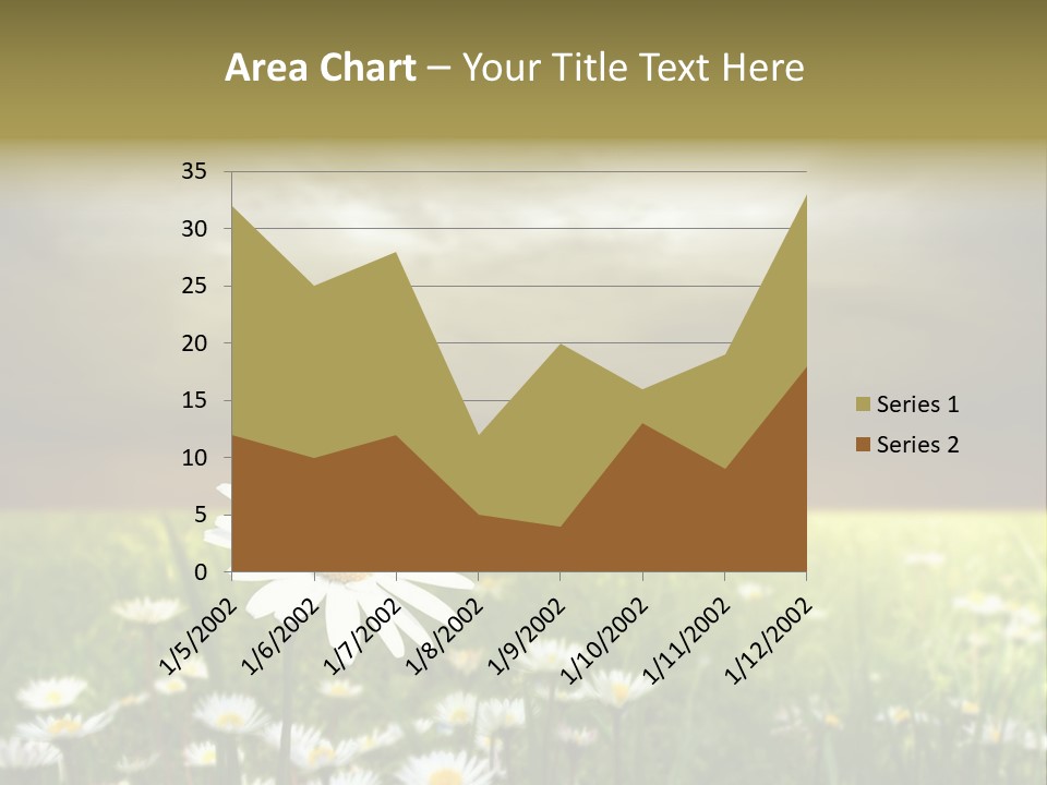 Daisies In A Grass Field At The Sunset PowerPoint Template
