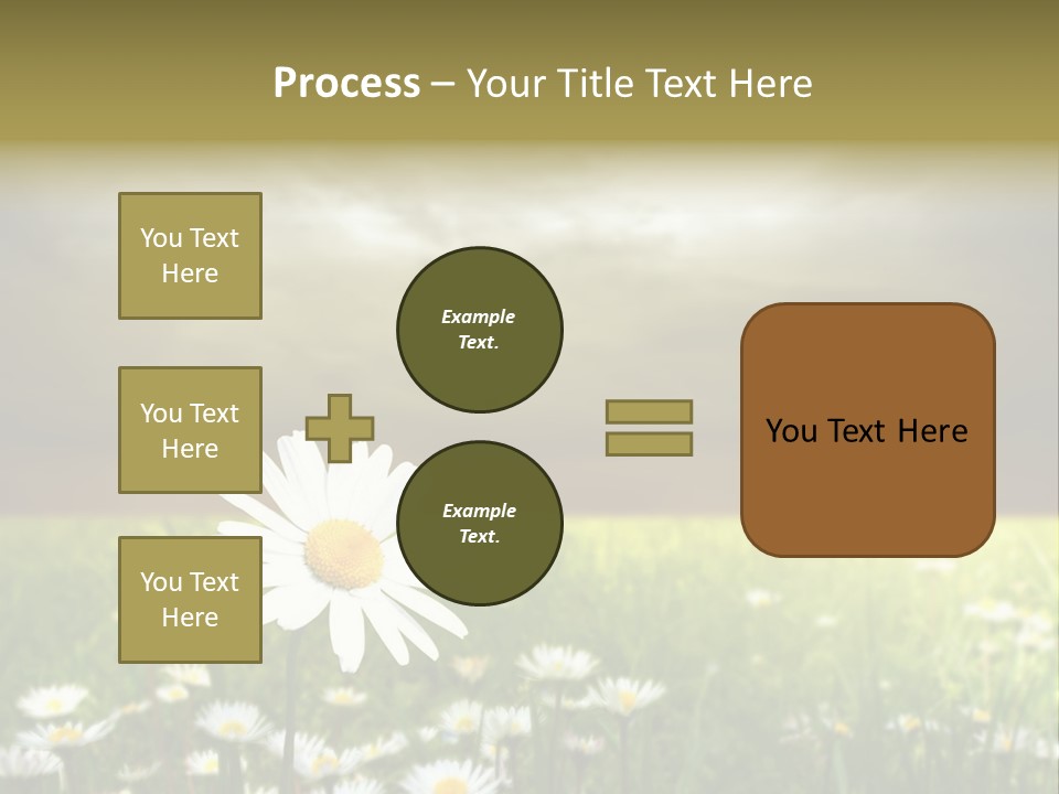 Daisies In A Grass Field At The Sunset PowerPoint Template
