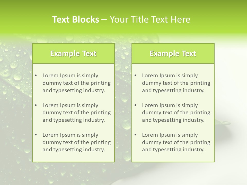 Fresh Water Drops On Green Plant Leaf PowerPoint Template