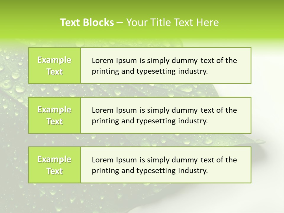 Fresh Water Drops On Green Plant Leaf PowerPoint Template