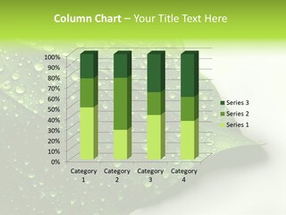 Fresh Water Drops On Green Plant Leaf PowerPoint Template