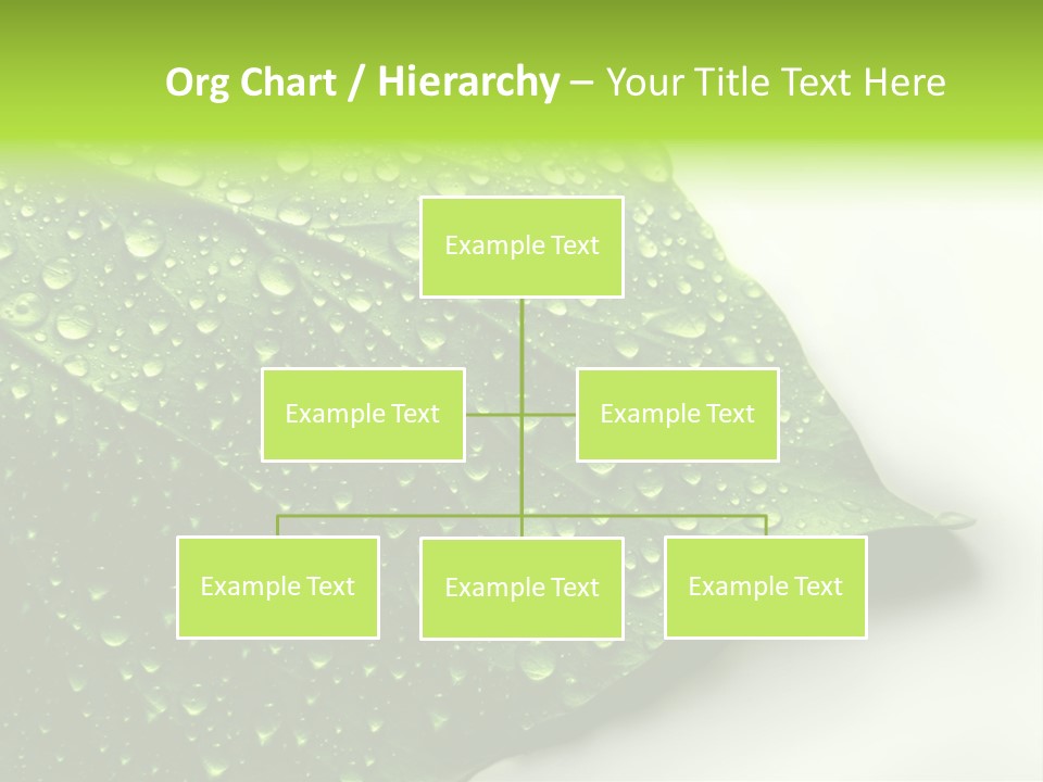 Fresh Water Drops On Green Plant Leaf PowerPoint Template