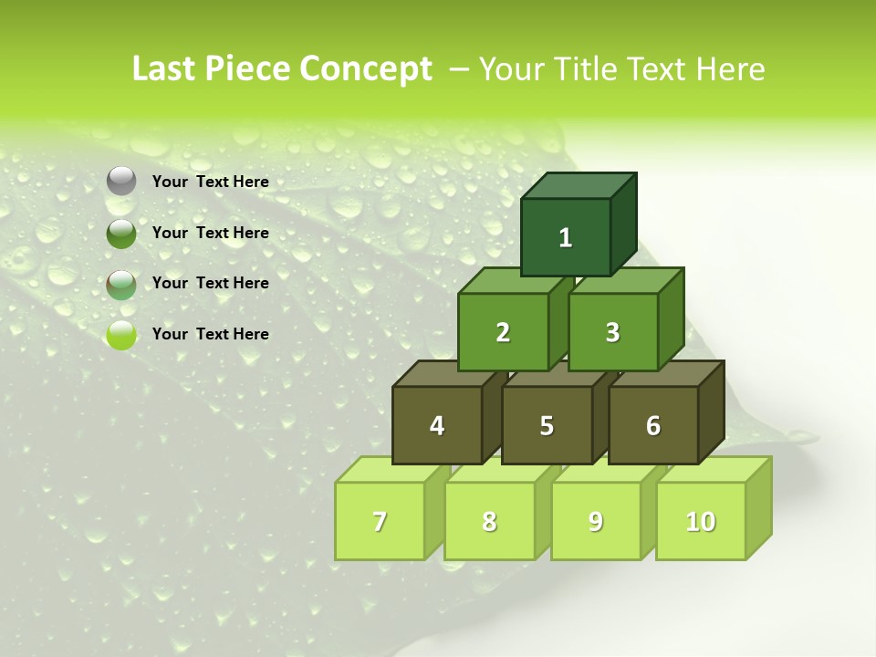 Fresh Water Drops On Green Plant Leaf PowerPoint Template