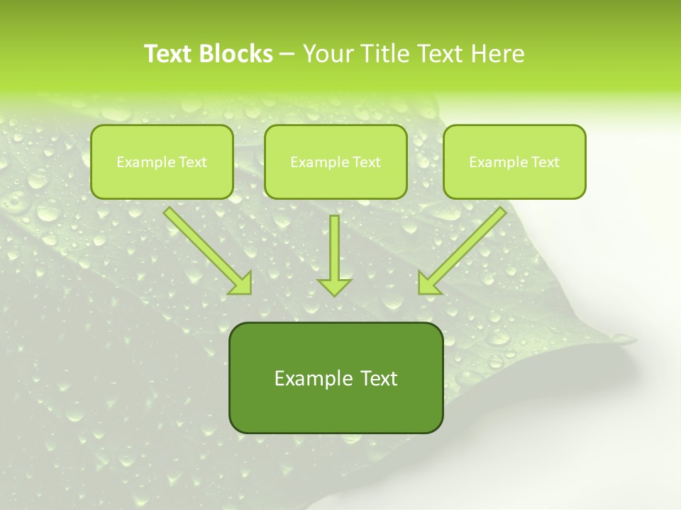 Fresh Water Drops On Green Plant Leaf PowerPoint Template