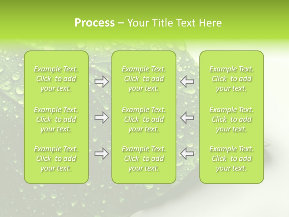 Fresh Water Drops On Green Plant Leaf PowerPoint Template