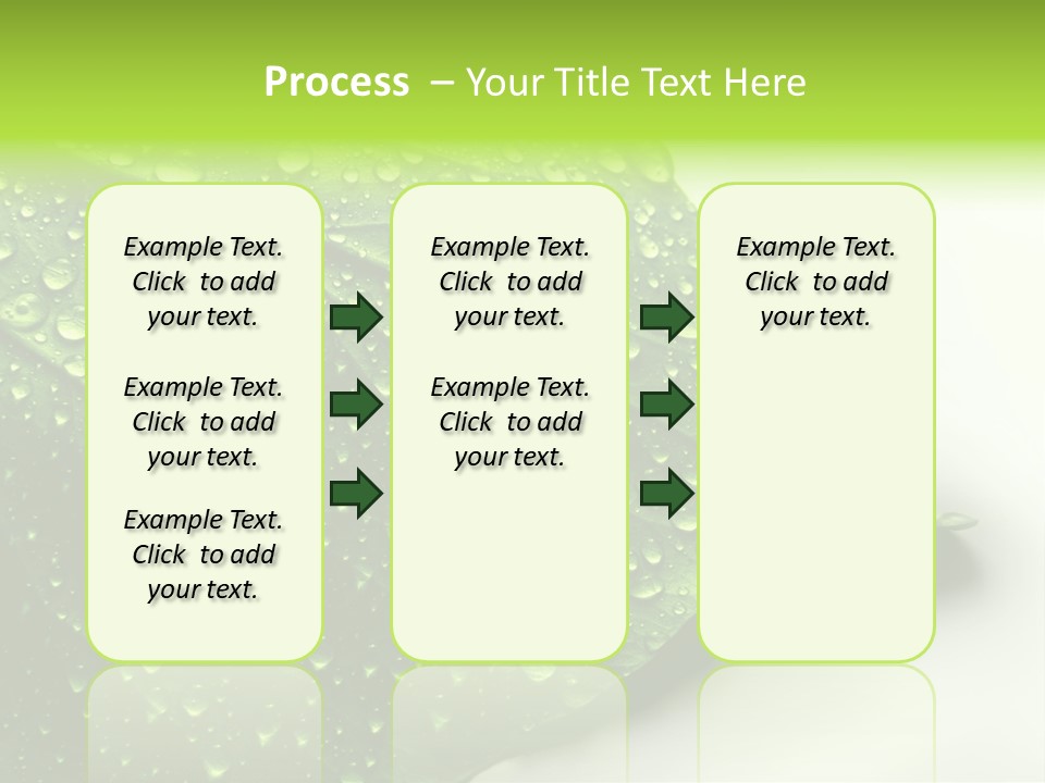 Fresh Water Drops On Green Plant Leaf PowerPoint Template