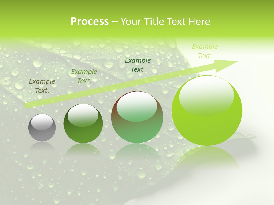Fresh Water Drops On Green Plant Leaf PowerPoint Template