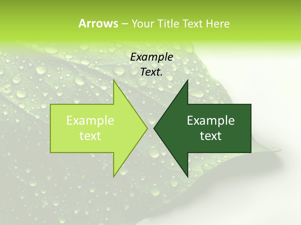 Fresh Water Drops On Green Plant Leaf PowerPoint Template