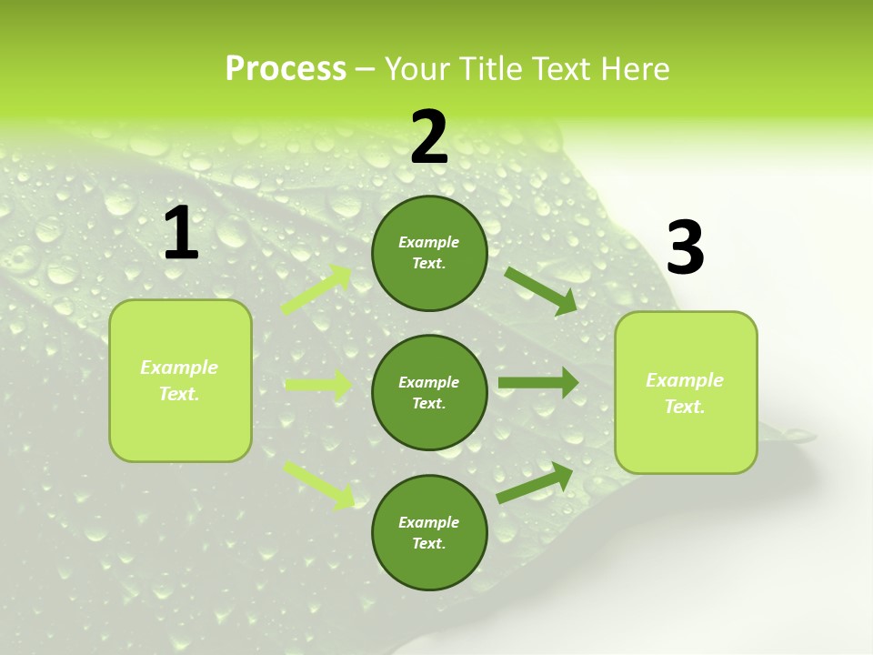 Fresh Water Drops On Green Plant Leaf PowerPoint Template