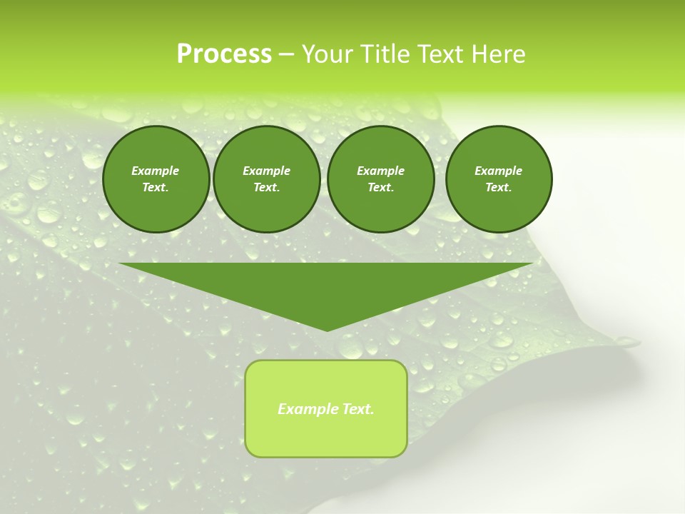 Fresh Water Drops On Green Plant Leaf PowerPoint Template