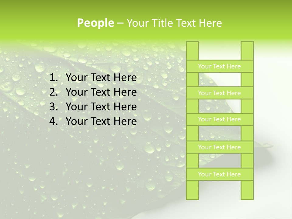 Fresh Water Drops On Green Plant Leaf PowerPoint Template