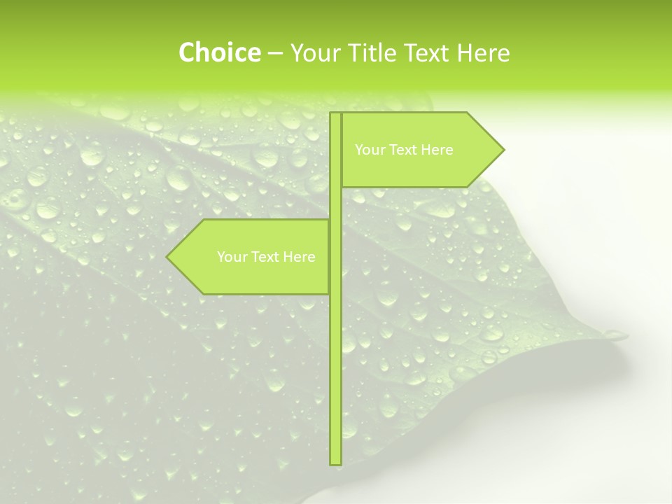 Fresh Water Drops On Green Plant Leaf PowerPoint Template