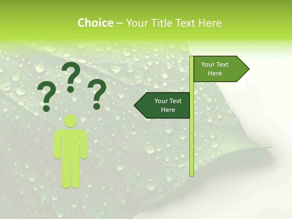 Fresh Water Drops On Green Plant Leaf PowerPoint Template