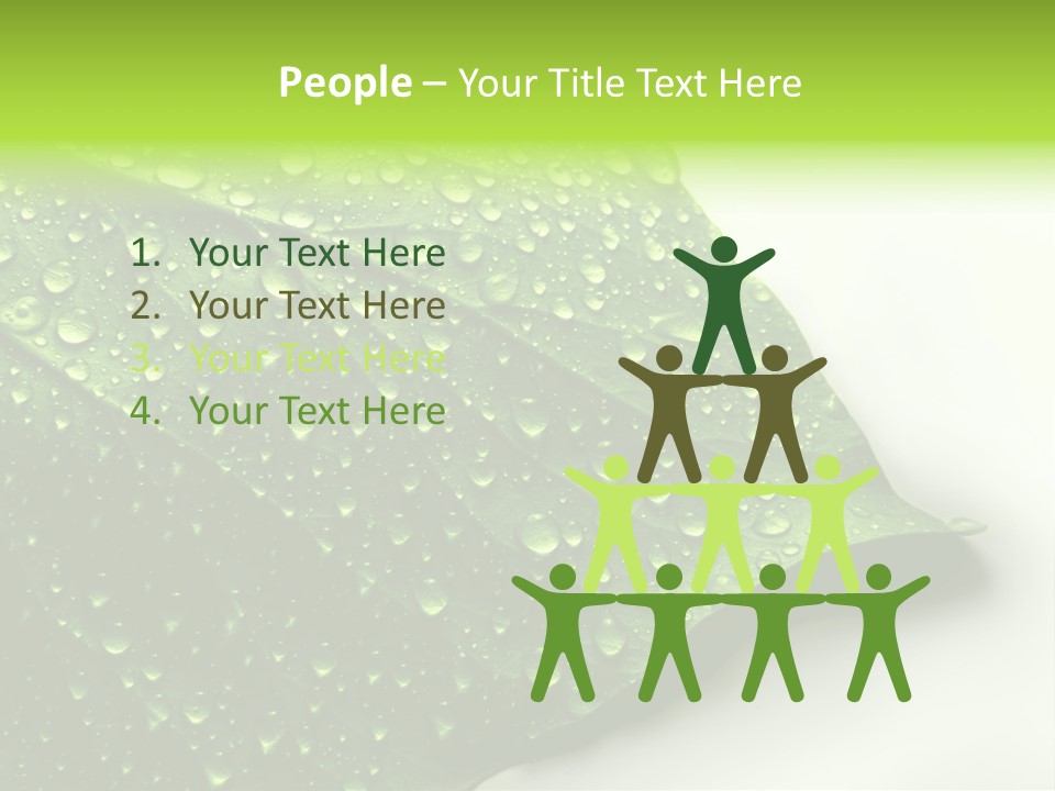 Fresh Water Drops On Green Plant Leaf PowerPoint Template