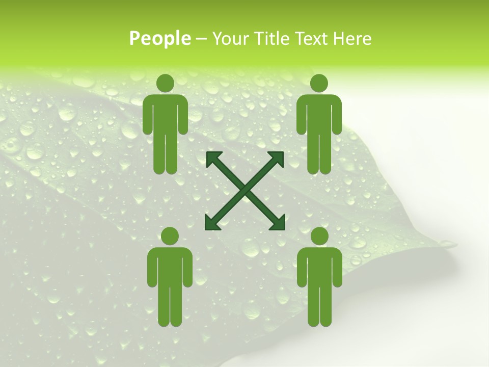 Fresh Water Drops On Green Plant Leaf PowerPoint Template