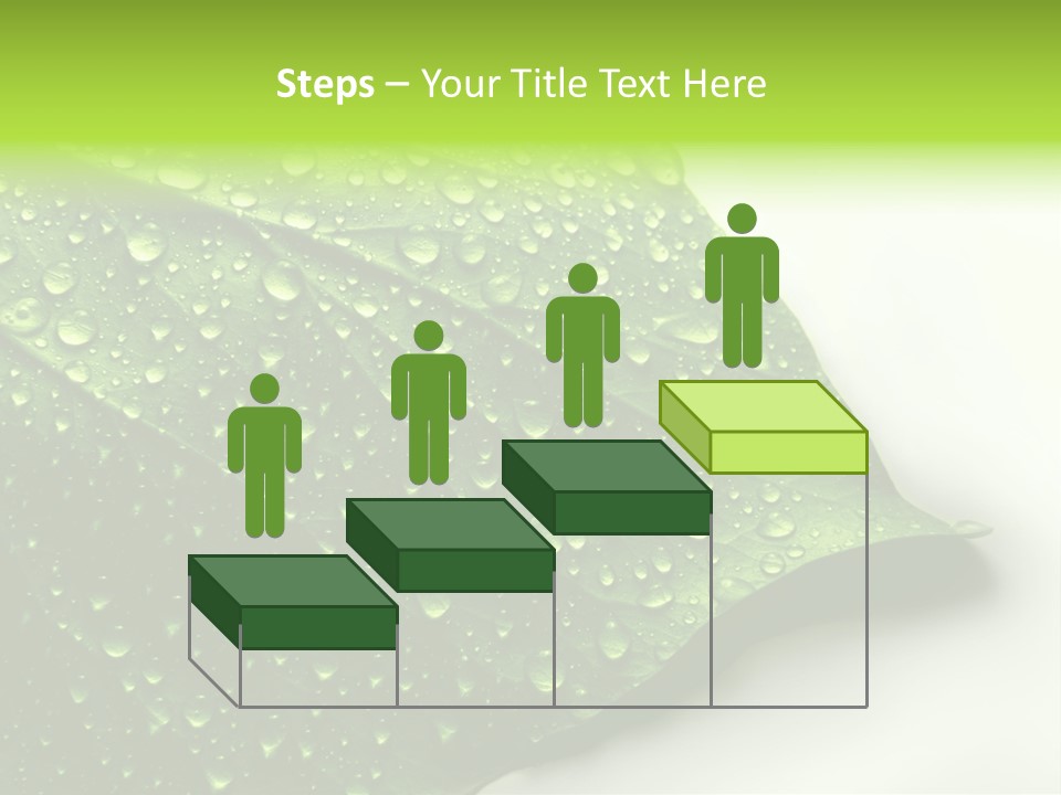 Fresh Water Drops On Green Plant Leaf PowerPoint Template